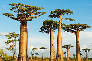 武海馬爾港口查詢_vohemar港口代碼_馬達(dá)加斯加武海馬爾港口代碼